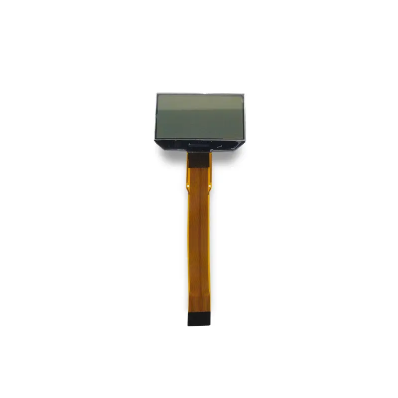 COG LCD Display Module 173x100
