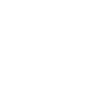 Fast Delivery